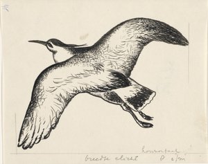 Pássaro voador de Leo Gestel