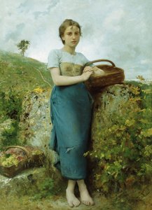 O apanhador de uvas, 1895