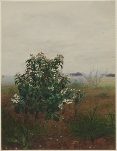 Viburno-tino florido diante de uma paisagem de Léon Bonvin