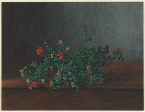Natureza morta com flores silvestres