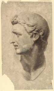 Desenho, Estudo de uma cabeça clássica masculina (a partir de um molde de gesso), 1881-92 de Leon Dabo