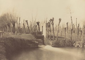 Paisagem, Montebello,c. 1860 (foto) de Léon Gérard