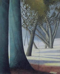 Troncos de faia de Leon Spilliaert