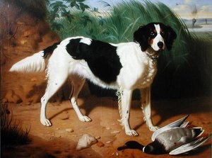Retrato de um cão (óleo sobre tela) de Leon Viardot