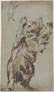 Estudos de um urso de Leonard Bramer