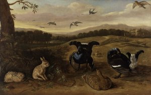 Caça preta, coelhos e andorinhas em um parque, c.1700 (óleo sobre tela)