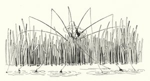 Índice de Primeiras Linhas (gravura) de Leonard Leslie Brooke