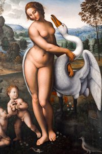 Leda e o Cisne, Óleo sobre tela de Leonardo da (after) Vinci