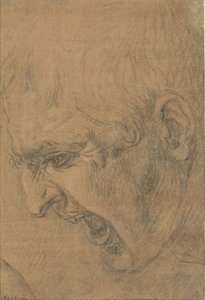 Cabeça de um homem gritando de Leonardo da Vinci (follower of)