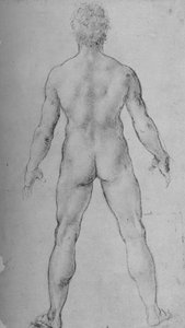 Um homem nu, visto de trás, c1480 1945