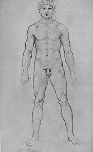 Um homem nu, visto de frente, c1480 1945
