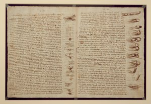 Uma página do Codex Leicester, 1508-12 (tinta sépia em papel de linho) de Leonardo da Vinci