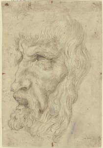 Máscaras antigas à esquerda de Leonardo da Vinci