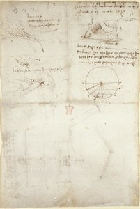 Arundel 263, f.126v Três notas e esboços sobre a água; um diagrama sobre o voo das aves, c.1500-5 (caneta e tinta sobre papel) de Leonardo da Vinci