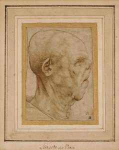 Caricatura da cabeça de um homem idoso, de perfil à direita, c.1507 de Leonardo da Vinci