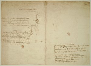  de Leonardo da Vinci