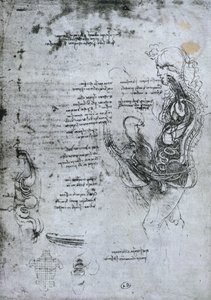 Coição de homem e mulher hemisectados, cópia fac-símile de Leonardo da Vinci