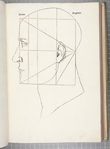 A proporção divina de Leonardo da Vinci
