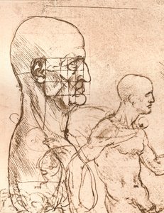Desenho ilustrando a teoria das proporções da figura humana, c1472-c1519 1883 de Leonardo da Vinci