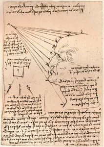Desenho de uma cabeça masculina, ilustrando a prática da pintura, c1472-c1519 1883 de Leonardo da Vinci