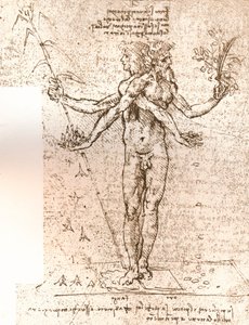 Desenho de uma composição alegórica, c1472-c1519 1883 de Leonardo da Vinci