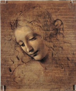 a cabeça da mulher de Leonardo da Vinci