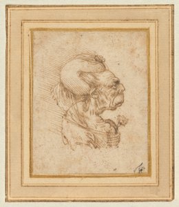 Cabeça grotesca de uma mulher idosa de Leonardo da Vinci