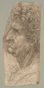 Cabeça de um homem de perfil, virada para a esquerda de Leonardo da Vinci