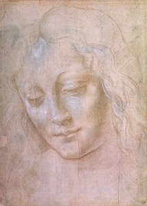 Cabeça de mulher (ponto de metal aumentado com guache) de Leonardo da Vinci