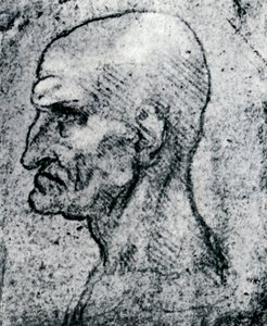 Cabeça de um homem velho, 1913 de Leonardo da Vinci