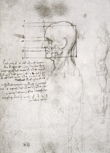 Cabeça de um homem velho em perfil, cópia de fac-símile (caneta e tinta no papel) de Leonardo da Vinci