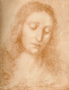 Cabeça do Redentor, século XV, 1932 de Leonardo da Vinci