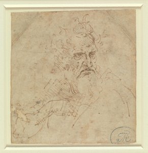 Cabeça de um ancião de ar severo, com o braço direito de Leonardo da Vinci
