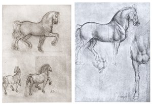 Cavalos, c1490-1510 de Leonardo da Vinci