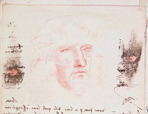 Notas sobre as mudanças de direção em vôo, página manuscrita de Codici Rari III 35.2, fol. 10v do Tratado sobre o Vôo dos Pássaros, 1505 (caneta e tinta no papel) de Leonardo da Vinci