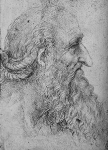 Perfil de um homem velho e barbudo à direita, c1480 1945 de Leonardo da Vinci