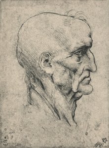 Perfil à direita de um homem careca idoso, c1480 1945 de Leonardo da Vinci