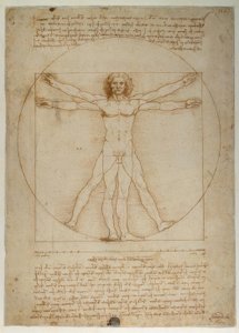 Esquema de proporções da forma humana de acordo com Vitruvius de Leonardo da Vinci