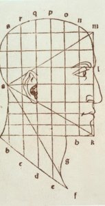 Estudo de proporção da cabeça humana de Leonardo da Vinci