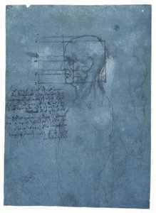 Estudo de proporção de uma cabeça masculina no perfil de Leonardo da Vinci
