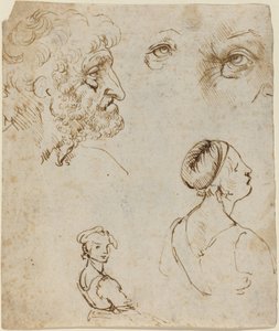 Folha de Estudos [reto] de Leonardo da Vinci