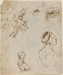 Folha de estudos [reto] de Leonardo da Vinci