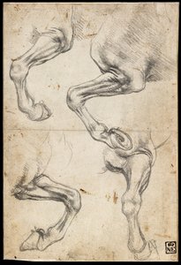 Estudos de Perna de Cavalos de Leonardo da Vinci