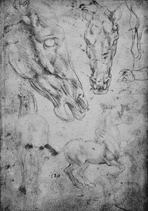 Estudos sobre Cavalos e Cabeças de Cavalos, c1480 1945 de Leonardo da Vinci