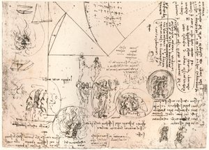 Estudos de emblemas, c1472-c1519 1883 de Leonardo da Vinci
