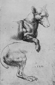 Estudos da parte dianteira e dos quartos traseiros de um cão, c1480 1945 de Leonardo da Vinci