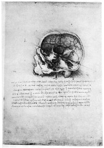 Estudo de um crânio humano, final do século XV ou início do século XVI, 1954. de Leonardo da Vinci