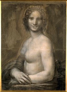 Estudo da nudez feminina provavelmente a Mona Lisa Bust denude assume Mona Lisa (ou Monna Lisa). Desenho em papel pardo com pedra preta da escola de Leonard de Vinci (Leonardo da Vinci) (1452-1519) Dim. 0,72 X 0,54 m. Chantilly, Museu Conde
