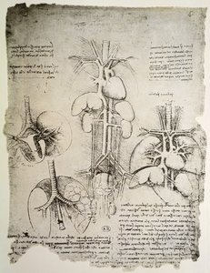 O Coração e a Circulação, fac-símile do livro de Windsor (caneta e tinta no papel) de Leonardo da Vinci