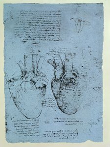 The Heart, fac-símile do livro de Windsor (caneta e tinta no papel) de Leonardo da Vinci
